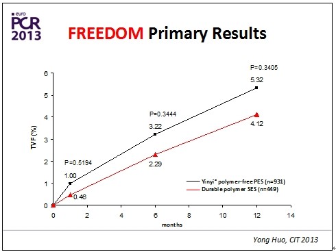 巴黎血运重建会议（EuroPCR 2013）召开(图6)