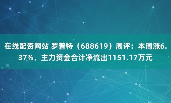 在线配资网站 罗普特（688619）周评：本周涨6.37%，主力资金合计净流出1151.17万元